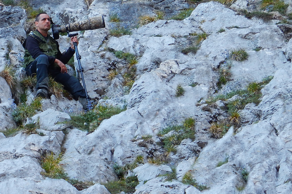 Fotografiando aves alpinas